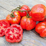 Salad - Stuffer Striped - Tomato Seeds