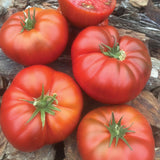 Slicing - Tasmanian Chocolate - Tomato Seeds