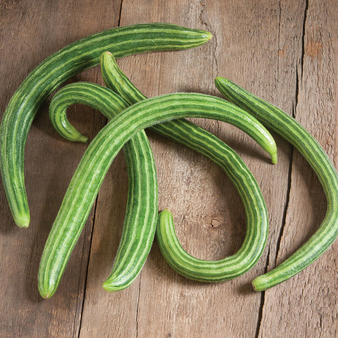 Cucumber Seeds - Armenian Striped