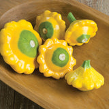Y-STAR F1 ORGANIC