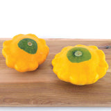 Y-STAR F1 ORGANIC