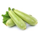 Squash Seeds -SUHA F1 Zucchini