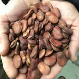 فول أكوا دولتشي