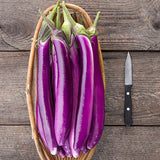 Eggplant Seeds - Long Ping Tung