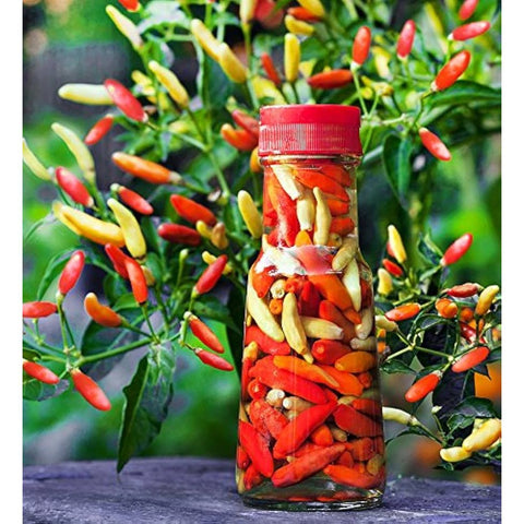 Hot - Tabasco - pepper seeds