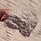 AZOMITE Micronized Organic