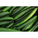 japanese Tokiwa - Cucumber