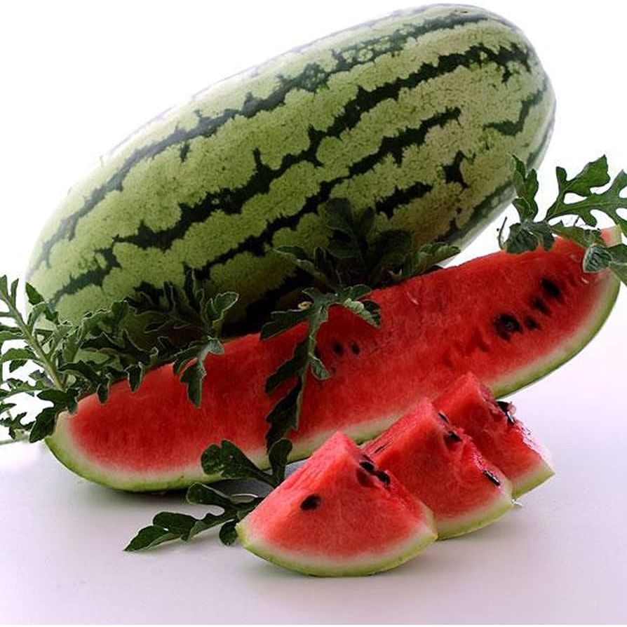 Watermelon Seeds - Picnic - Georgia Rattlesnake