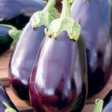Eggplant Seeds - Black Beauty