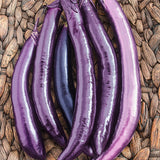 Eggplant Seeds - Long Ping Tung