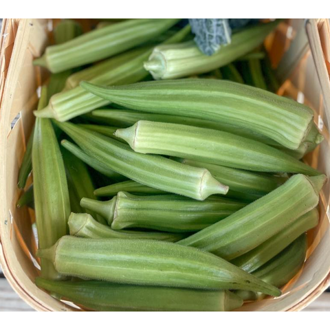 Okra Seeds - Clemson Spineless 80 AAS winner