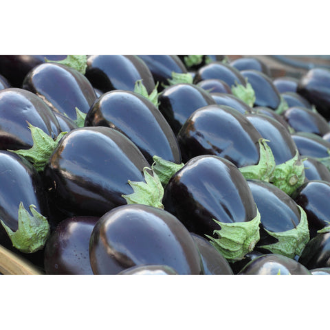 Eggplant Seeds - Black Beauty