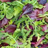 Lettuce Seeds - Mixed Greens - Mesclun Mix