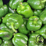 Sweet - California Wonder 300 TMR - pepper seeds