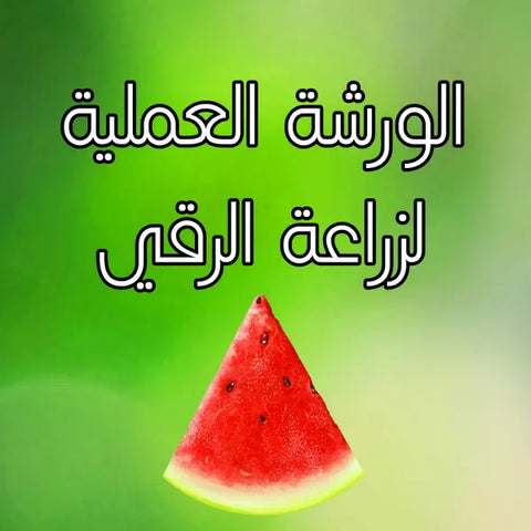 ورشة البطيخ