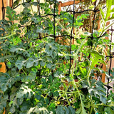 VIVOSUN 3x4FT Elastic Trellis Netting with Hooks