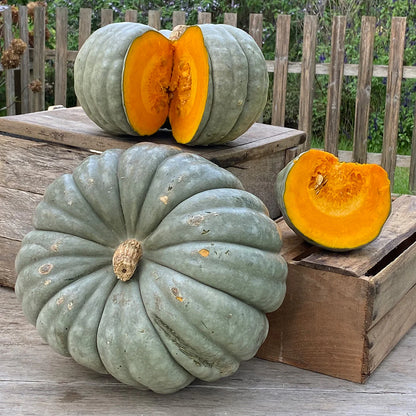 Pumpkin Seeds - Jarrahdale
