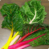 Swiss Chard Seeds - Bright Lights AAS winner