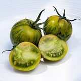 طماطم زيبرا