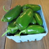 Hot - TAM Jalapeno - pepper seeds