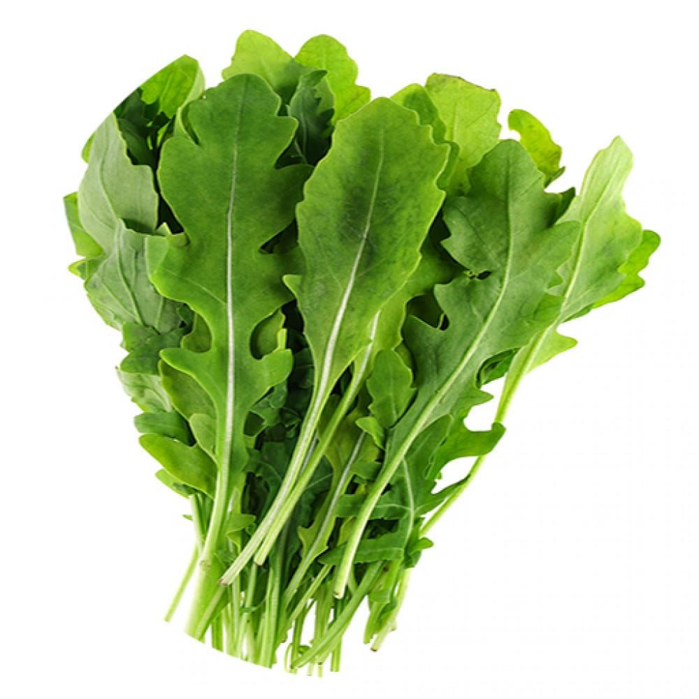 Fast growing Arugula