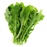 Fast growing Arugula