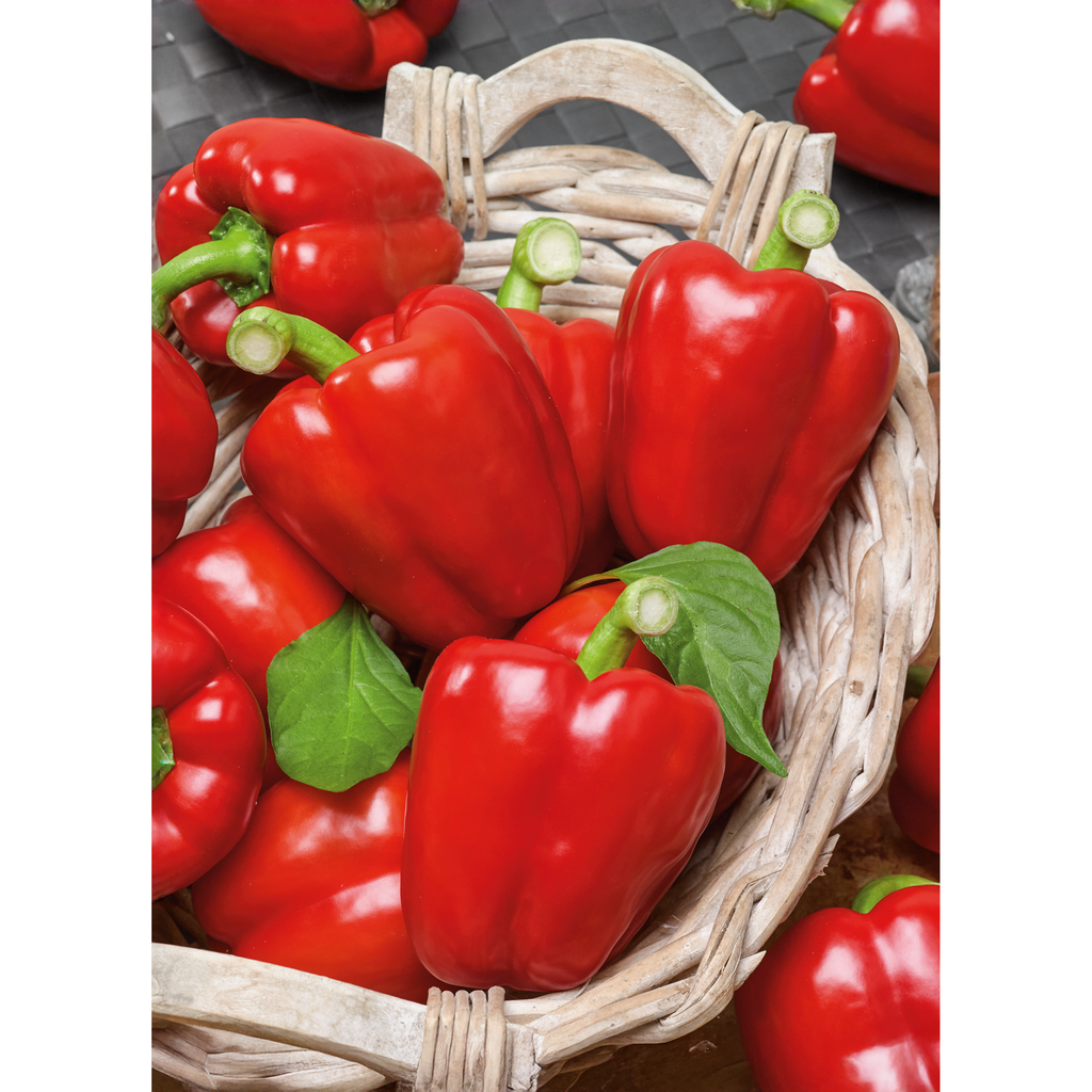 Sweet - Big Red - pepper seeds
