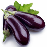 Eggplant Seeds - Florida Market