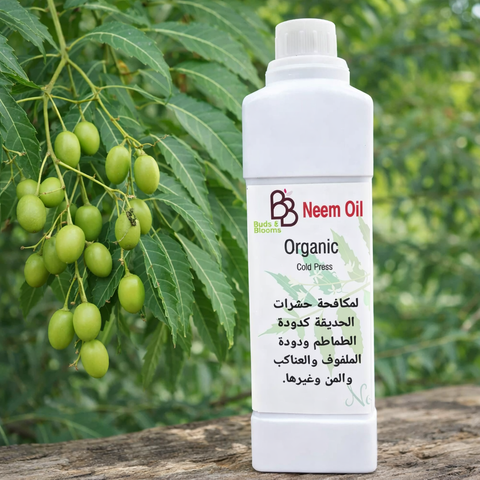 زيت النيم النقي العضوي