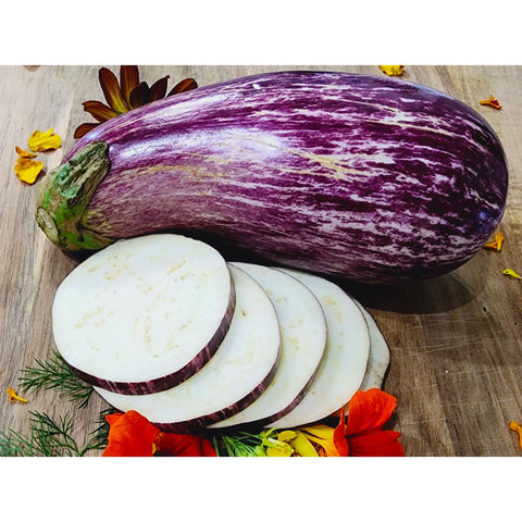 Eggplant Seeds - Galaxy of Stars