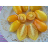 Taiko Czech Tomatoes