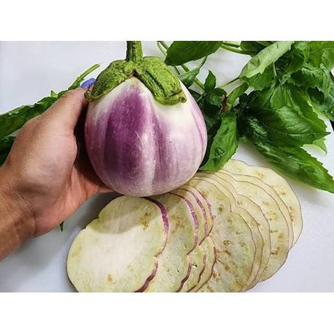 Rosa Bianca Organic Eggplant Seed