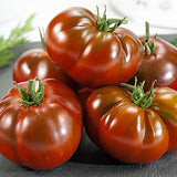 Slicing - Black Russian- Tomato seeds
