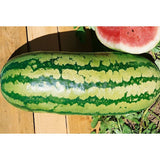 Watermelon 'Bush Jubilee' Seeds