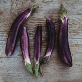 Eggplant Seeds - Long Ping Tung