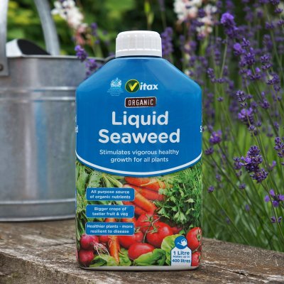 Liquid Seaweed fertilizer
