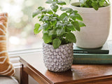 المليسة الطبية lemon Balm 
