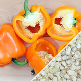 Pepper Seeds - Sweet - Horizon Orange