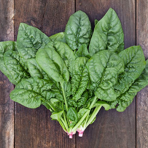 Spinach Seeds - Bloomsdale Long Standing