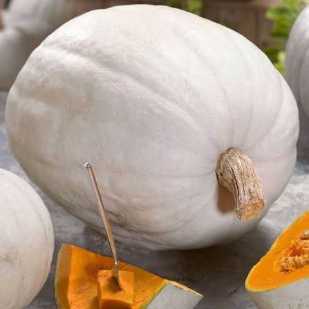 Pumpkin Seeds - Super Moon F1 AAS winner
