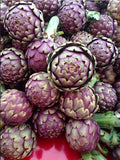 Artichoke Seeds - Purple Italian Globe