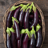 Eggplant Seeds - Little Finger Purple