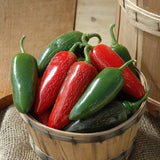 Pepper Seeds - Hot - Jalapeno M