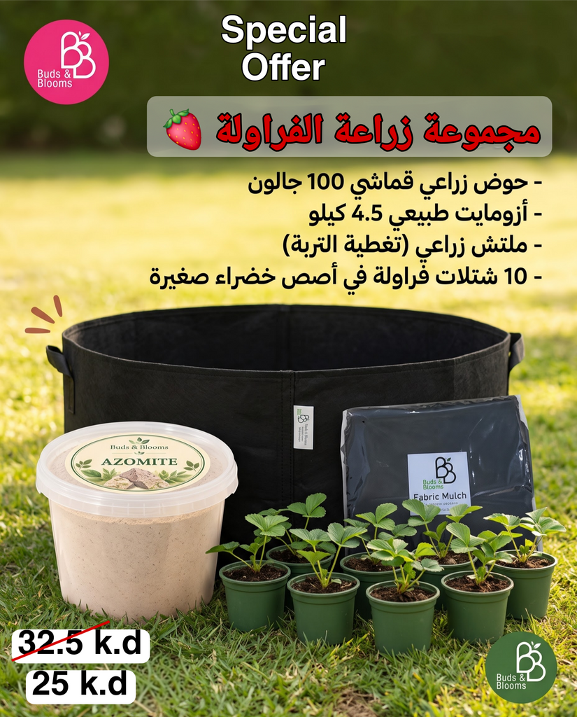 Strawberry Planting Bundle