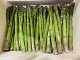 Asparagus Seeds - UC 157 F1
