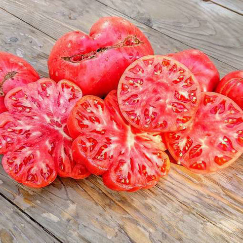 Tomato Seeds - Slicing - Watermelon Beefsteak