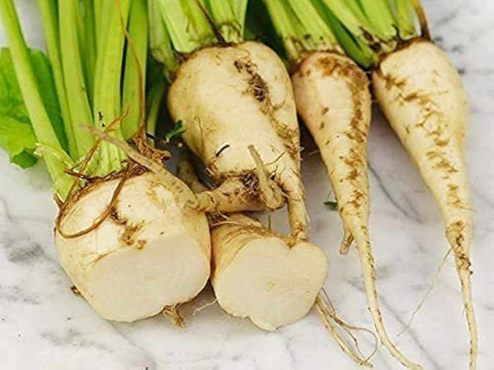 Suger Beetroot