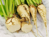 Suger Beetroot