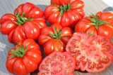 Tomato Seeds - Slicing - Costoluto Genovese