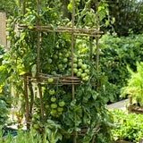 Cherry - Gardener's Delight - Tomato Seeds